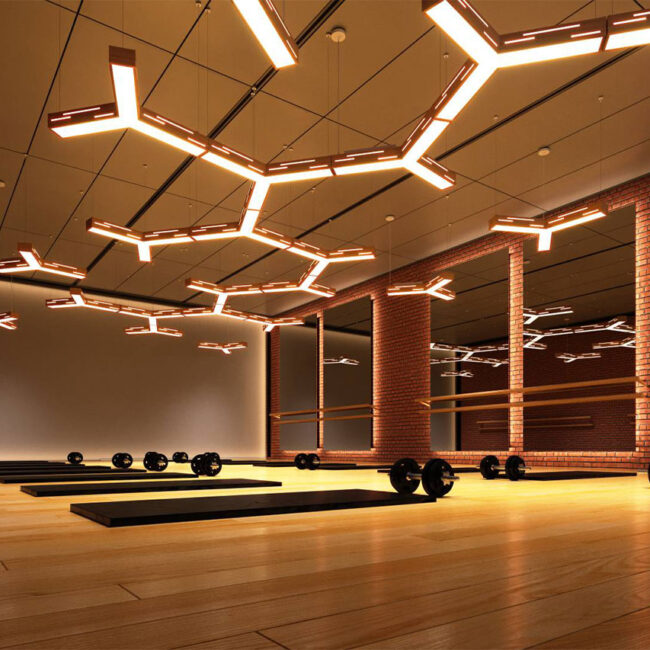 Trufusion ideoli fixture